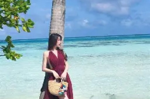 顶流明星